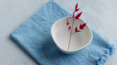 plating-instructions-image